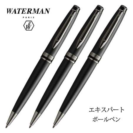 WATERMAN エキスパートメタリックブラック
