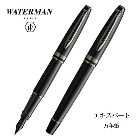 WATERMAN エキスパートメタリックブラック 万年筆